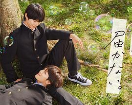 爱是一场温柔幻觉